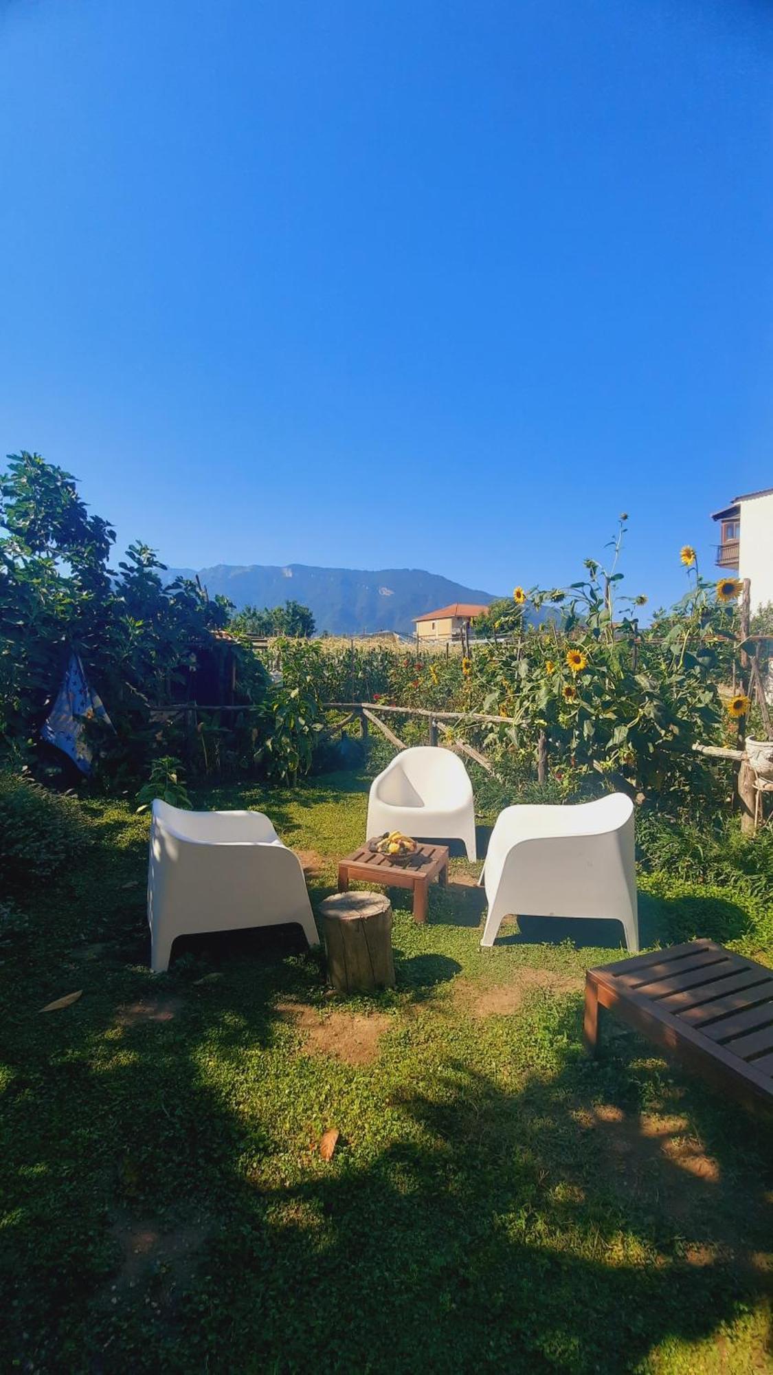 Buonocore Rooms Santa Maria La Carità 외부 사진
